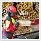 Holzproduktion